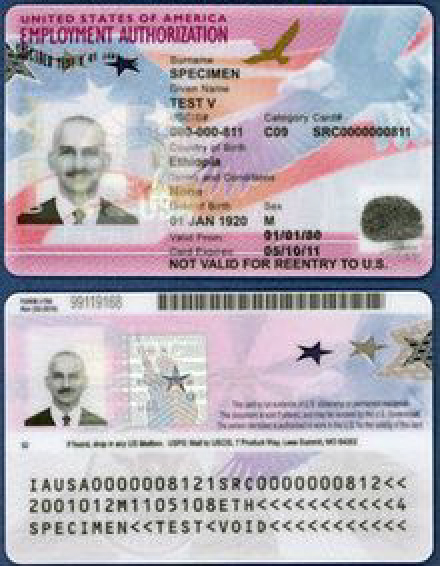 a Employment Authorization Card