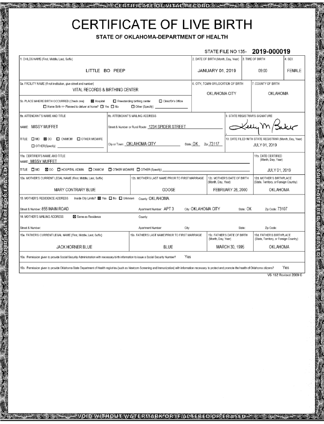 U.S. birth certificate issued by a state or local government